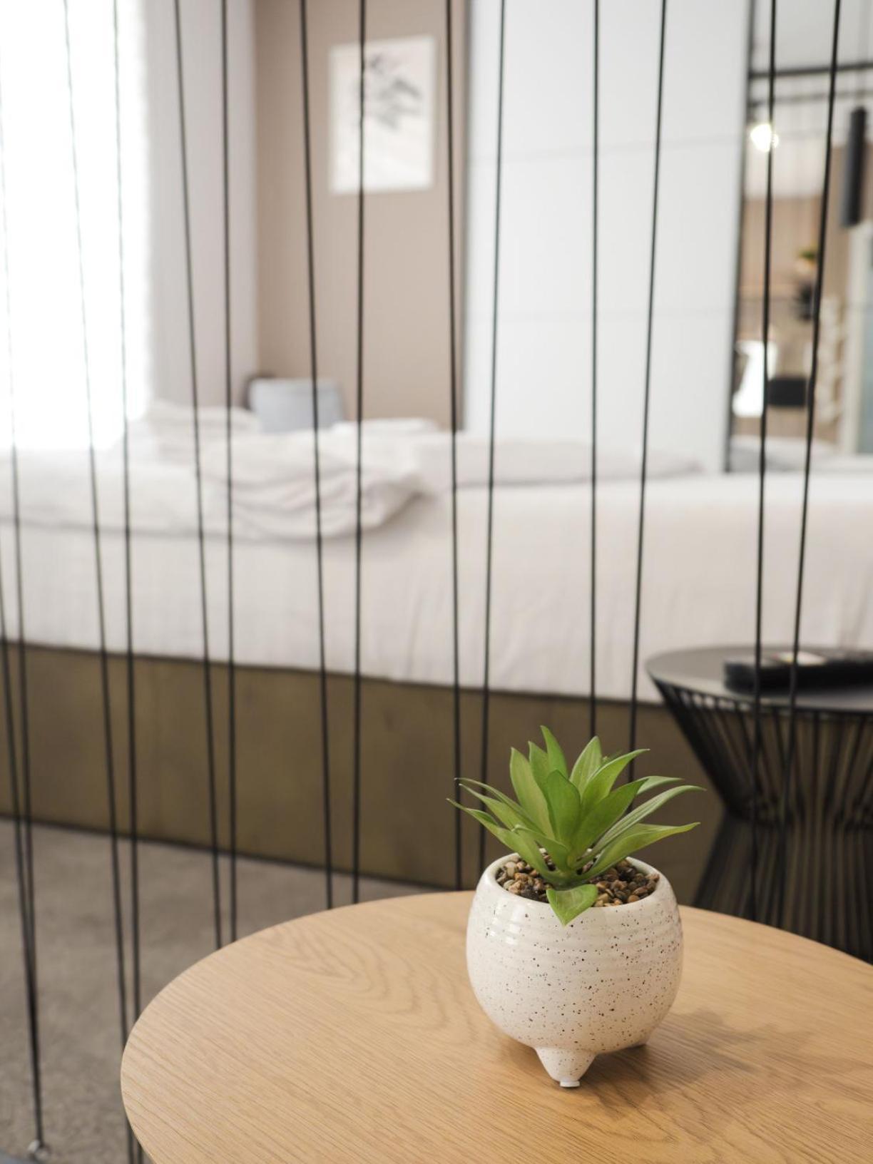 Gavas Cozy Studios Central David Prodan Cluj-Napoca Luaran gambar